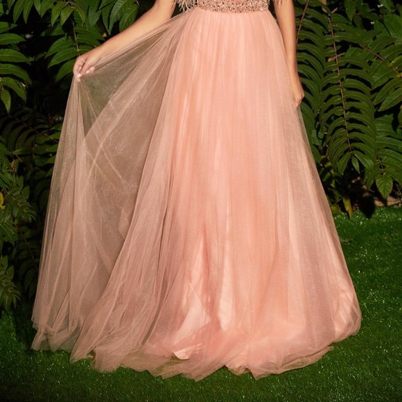 BLUSH PROM PARTY EVENING A-LINE FORMAL STRAPLESS FEATHER BALL GOWN CDCR864 - Picture 2 of 7